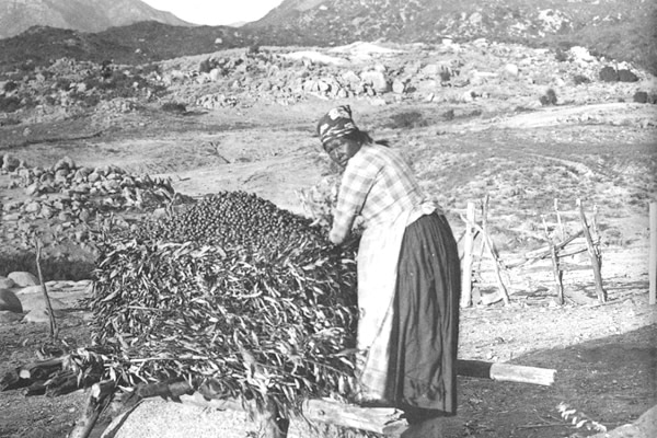 Ohlone Indians in the San Francisco Bay